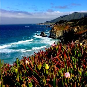 Meet your Posher, Bridgette